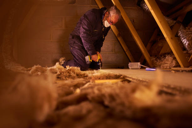 Best Commercial Insulation in Wintersville, OH
